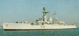 F75_2.jpg