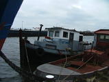 Filename=Jules_01.jpg
Filesize=66KiB
Dimensions=797x600
Date added=Feb 04, 2008 Jules_01.jpg