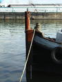 Filename=Jules_11.jpg
Filesize=54KiB
Dimensions=452x600
Date added=Feb 04, 2008 Jules_11.jpg