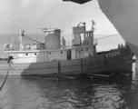 YTB270_2.jpg