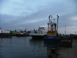 Filename=bou7deneigezoon_18.jpg
Filesize=54KiB
Dimensions=797x600
Date added=Feb 04, 2008 bou7deneigezoon_18.jpg
