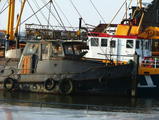 Filename=ngsleperterneuzen_8.jpg
Filesize=110KiB
Dimensions=797x600
Date added=Feb 04, 2008 ngsleperterneuzen_8.jpg