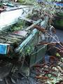 Filename=wrakbrentford_1.jpg
Filesize=207KiB
Dimensions=677x900
Date added=Dec 23, 2005 wrakbrentford_1.jpg