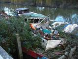 Filename=wrakbrentford_4.jpg
Filesize=203KiB
Dimensions=900x677
Date added=Dec 23, 2005 wrakbrentford_4.jpg