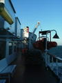 Filename=primrose_18.JPG
Filesize=38KiB
Dimensions=451x600
Date added=Jan 03, 2007 primrose_18.JPG