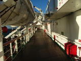 Filename=primrose_23.JPG
Filesize=89KiB
Dimensions=796x600
Date added=Jan 03, 2007 primrose_23.JPG