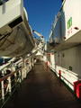 Filename=primrose_24.JPG
Filesize=52KiB
Dimensions=451x600
Date added=Jan 03, 2007 primrose_24.JPG