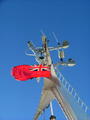 Filename=primrose_27.JPG
Filesize=33KiB
Dimensions=451x600
Date added=Jan 03, 2007 primrose_27.JPG
