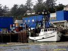 Filename=Pacific_newport.jpg
Filesize=342KiB
Dimensions=1024x768
Date added=Aug 20, 2005 Pacific_newport.jpg