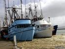 Filename=Prospector_newport.jpg
Filesize=258KiB
Dimensions=1024x768
Date added=Aug 20, 2005 Prospector_newport.jpg