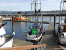 Filename=SeaLanes_newport2.jpg
Filesize=311KiB
Dimensions=1024x768
Date added=Aug 20, 2005 SeaLanes_newport2.jpg