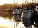 Filename=TontoII_newport.jpg
Filesize=246KiB
Dimensions=1024x768
Date added=Aug 20, 2005 TontoII_newport.jpg