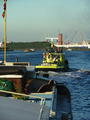 Filename=15722401240_227.JPG
Filesize=53KiB
Dimensions=451x600
Date added=Oct 29, 2006 15722401240_227.JPG