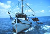 Filename=800px-Trawer_Hauling_Nets.jpg
Filesize=86KiB
Dimensions=800x540
Date added=Feb 18, 2006 800px-Trawer_Hauling_Nets.jpg