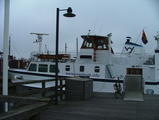 Filename=bep_1.JPG
Filesize=403KiB
Dimensions=797x600
Date added=Nov 09, 2007 bep_1.JPG