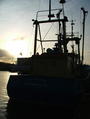 Filename=bou7deneigezoon_15.jpg
Filesize=35KiB
Dimensions=452x600
Date added=Feb 04, 2008 bou7deneigezoon_15.jpg