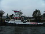 Filename=korneeljr_1.jpg
Filesize=74KiB
Dimensions=797x600
Date added=Jan 19, 2008 korneeljr_1.jpg