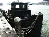 Filename=orca_2.jpg
Filesize=100KiB
Dimensions=796x600
Date added=Jul 28, 2007 orca_2.jpg