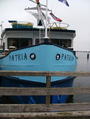 Filename=patria.JPG
Filesize=256KiB
Dimensions=452x600
Date added=Nov 09, 2007 patria.JPG