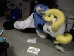 Rameses beating....