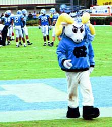 Rameses feeling a little woozy....
