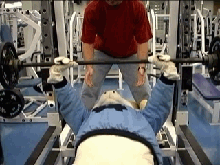 Rameses pumping iron in preparation....