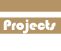 Project Directions