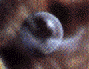 [ Sphere ]