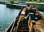 augustus_2003___losbrekendekplanken.jpg