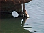 mei_2003___fm10.jpg