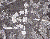 Figure 8a_72.jpg