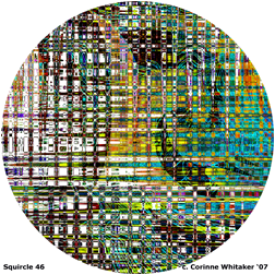 Whitaker Squircle 46.jpg
