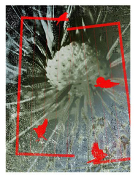 Jing Zhou, Worldnessness