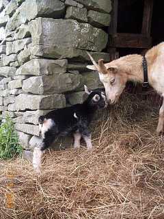 Cinnamon and kid