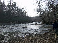 Looking Upriver