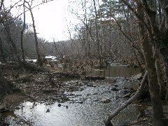 Bend Island