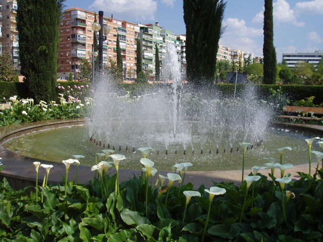 Fountain with Calla Lillies in Lorca Park