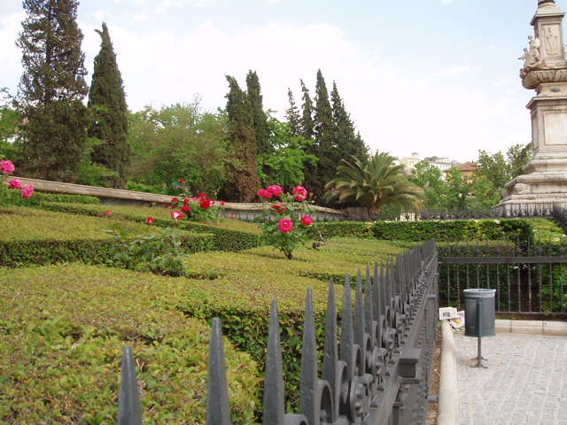 flowers in the Jardin
