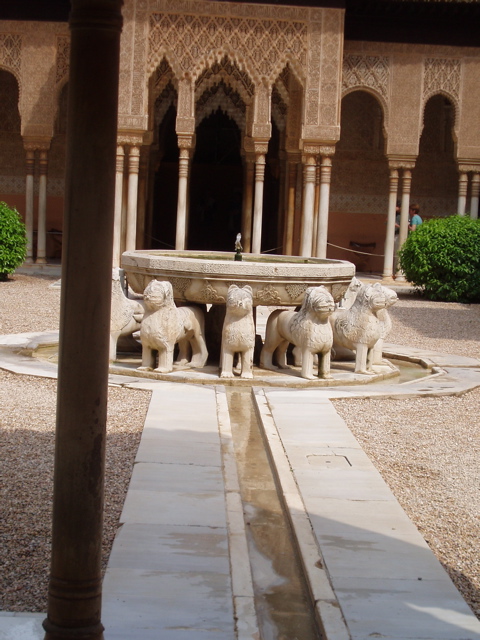 The 12 lions