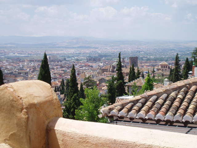 View from Mosque garden