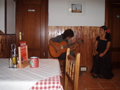 Flamenco Guitar
