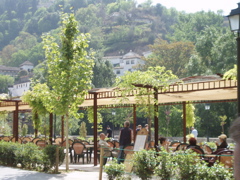 lunch site