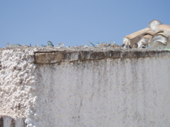 broken glass embedded on the top of a wall