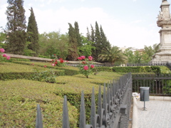 flowers in the Jardin