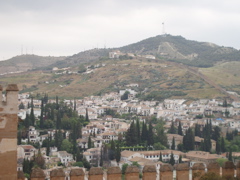 A view