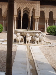 The 12 lions