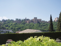 View from Don, Tom and Cathy's garden