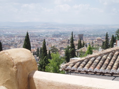 View from Mosque garden