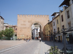 view thru the gate