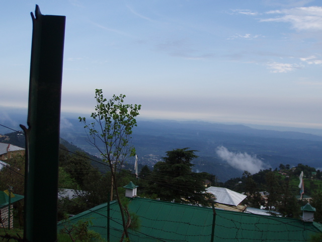 View from mesh head